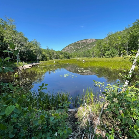 Meet your Posher, Denise - Picture 1 of 1